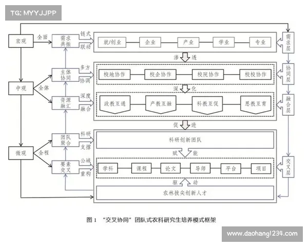 围绕十二支队伍构建的战略布局与团队协作模式研究 围绕十二支队伍构建的战略布局与团队协作模式研究